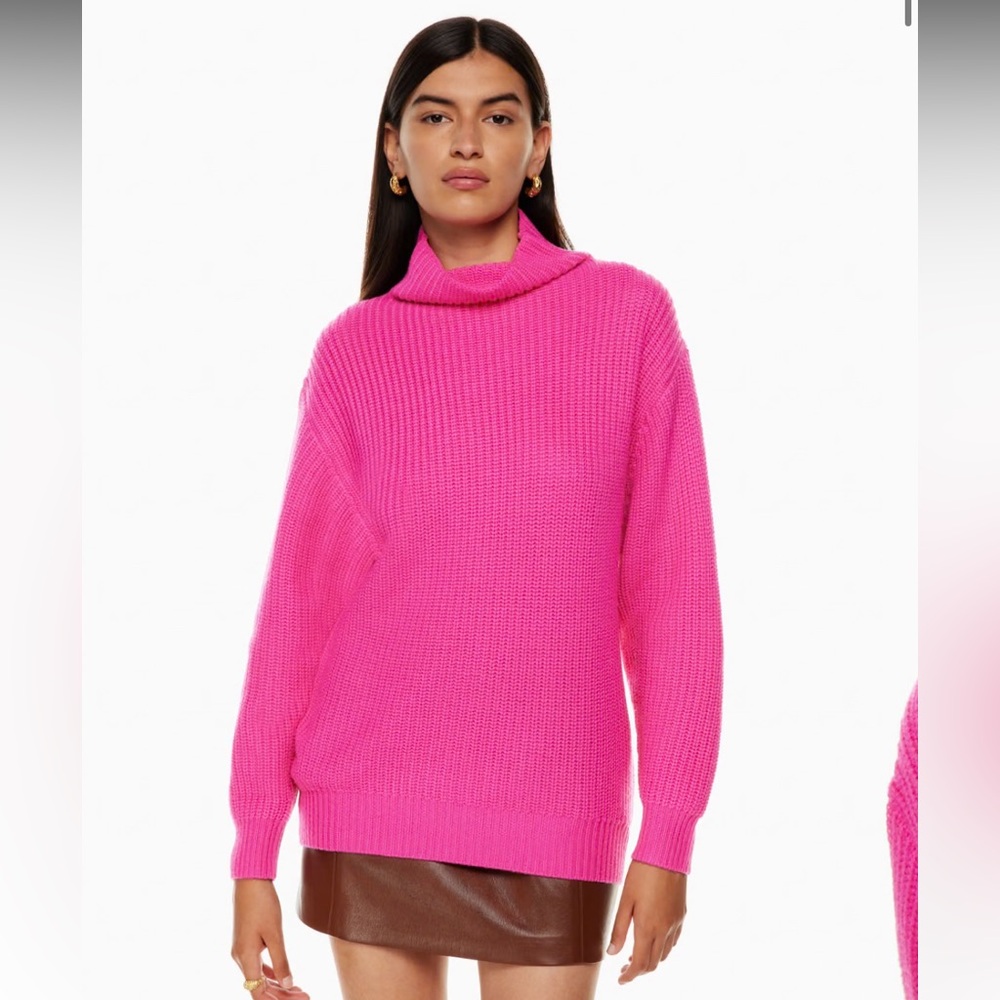 ARITZIA MONTPELLIER TURTLENECK